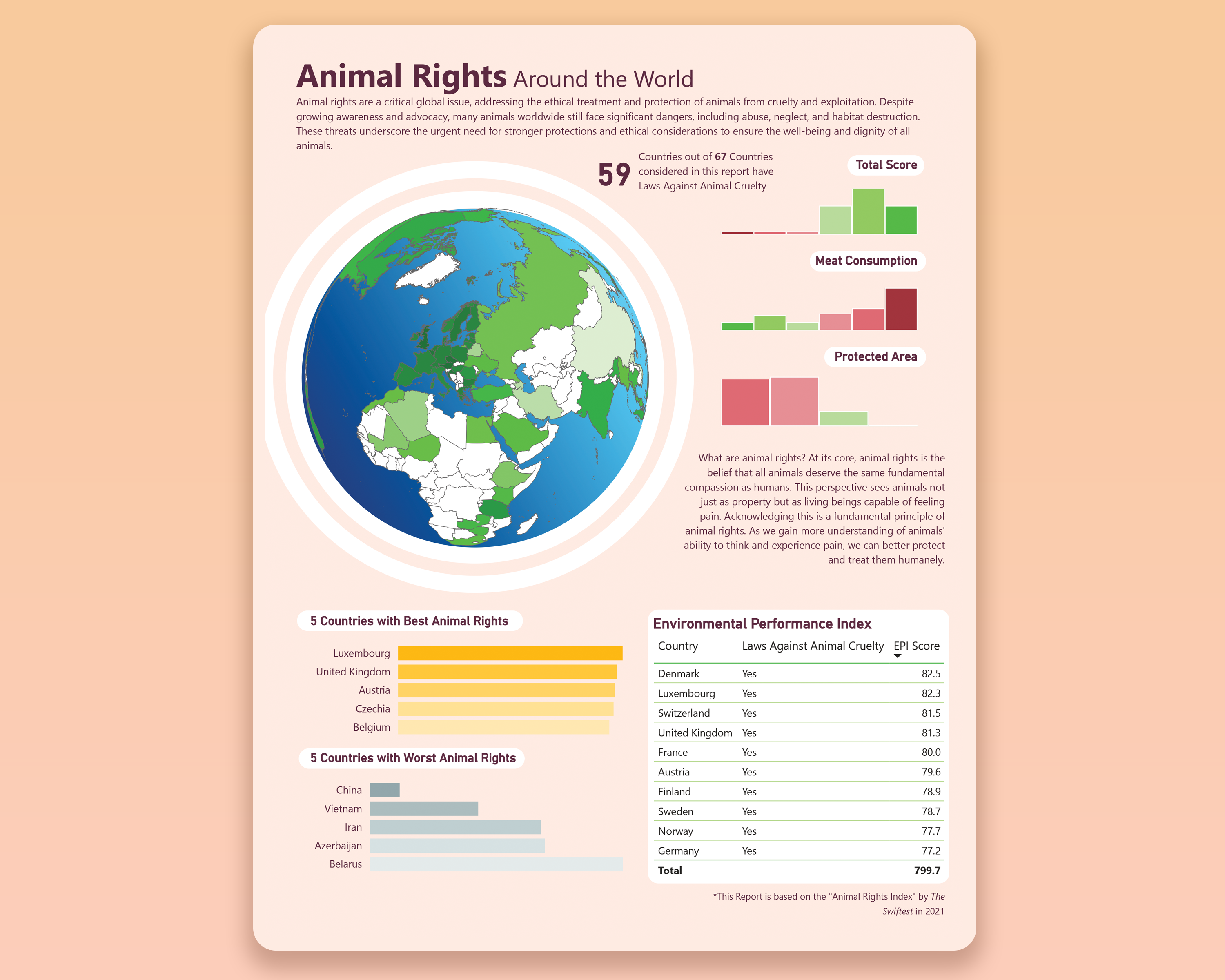 Animal Rights